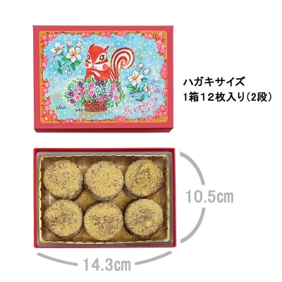 [西光亭]くるみのクッキー&チョコマカダミアクッキー(各1個/お渡し用のお手提げ袋2袋付)