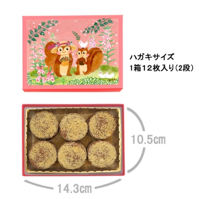 [西光亭]くるみのクッキー&チョコマカダミアクッキー(各1個/お渡し用のお手提げ袋2袋付)