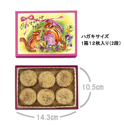 [西光亭]くるみ&チョコくるみ&チョコマカダミア&ヘーゼルナッツ クッキー(各1個/お手提げ4袋付)