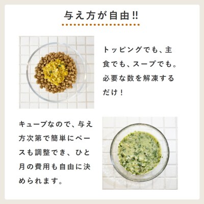 獣医師監修ドッグフード[HITOWANキューブ]5種トレーセット