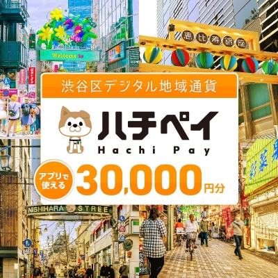 渋谷区デジタル地域通貨「ハチペイ」30,000円分 【109004】