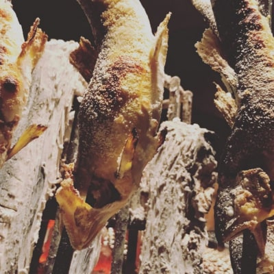 【falo ファロ】≪ディナー≫おまかせコース　2名様分(ぐるなびセレクション)