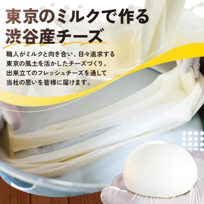 CHEESE STAND 熟成チーズ4種セット 【004011】