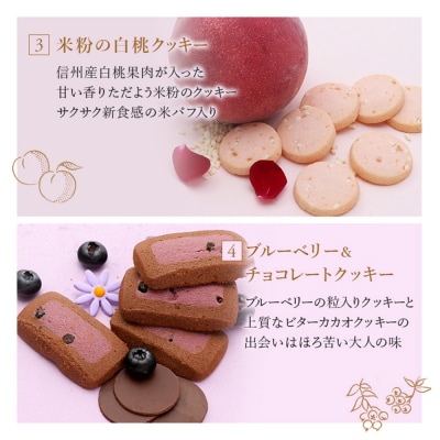 渋谷西村 プレミアムフルーツクッキー [渋谷西村フルーツパーラー道玄坂店] 【036014】