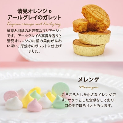渋谷西村 プレミアムフルーツクッキーmini [渋谷西村フルーツパーラー道玄坂店] 【036015】