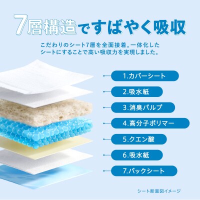【1回使い切りタイプ】Famy ペットシーツ レギュラー 800枚(100枚×8袋)【203007】