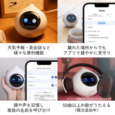 AIロボットRomi(Lacatan)本体+月会費12か月分<サクラピンク>【212002-2】