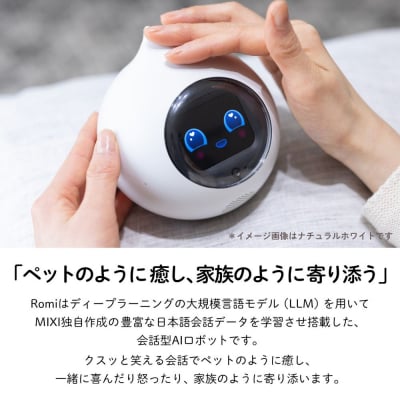 AIロボットRomi(Lacatan)本体+月会費12か月分<ムーングレー>【212002-4】