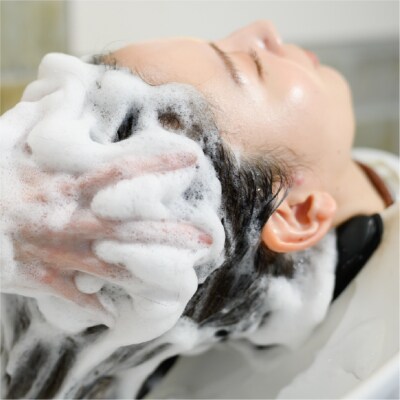 定期【2か月1回配送 計6回】ボリュームダウン用セット 500ml 【092015-8】