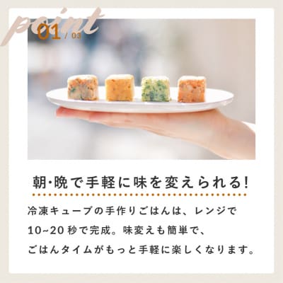 獣医師監修ドッグフード[HITOWANキューブ]人気No.1 |豚肉と小松菜のごはん【101008】