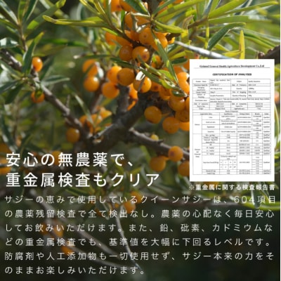 サジーの恵み 900ml 【136024】