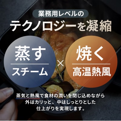 レコルト ハイスチームエアーオーブン ナチュラルブラック RAO-3(BK) 【223018】
