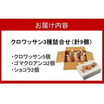 海辺のパン屋「麦正」からお届け クロワッサン3種詰合せ 計9個_2248R