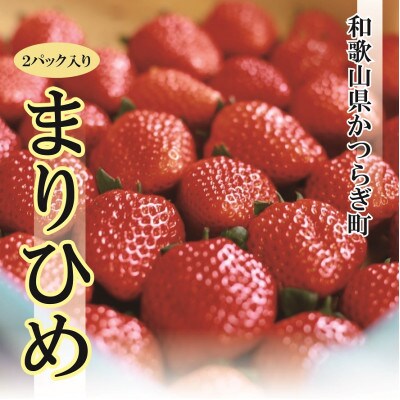 【1月～5月発送】特選☆いちご【まりひめ】