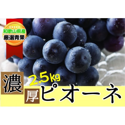 種なしピオーネ<ぶどう約2.5kg>★2025年8月下旬～9月中旬頃発送予定★