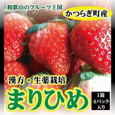 【フルーツ王国和歌山生まれの品種「まりひめ」】いちご 4パック