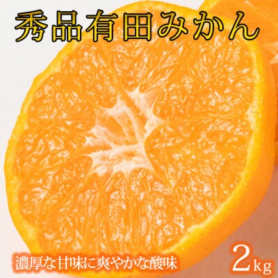 【2026年11月下旬より発送】秀品　有田みかん 約2kg(2S～Lサイズのいずれか)