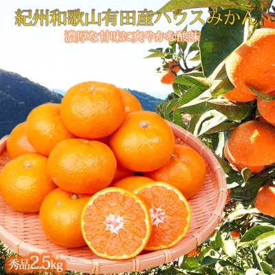 赤秀品　紀州和歌山ハウスみかん約2.5kg