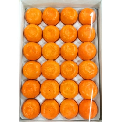 赤秀品　紀州和歌山ハウスみかん約2.5kg
