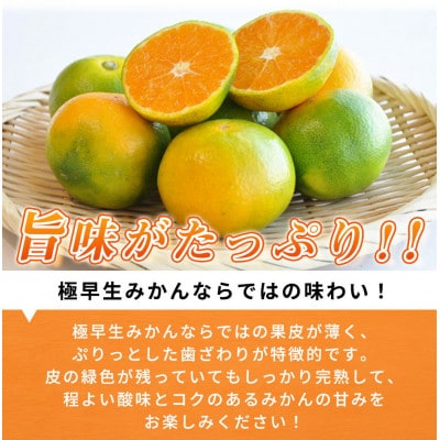 紀州和歌山有田産ゆら早生みかん　約5kg