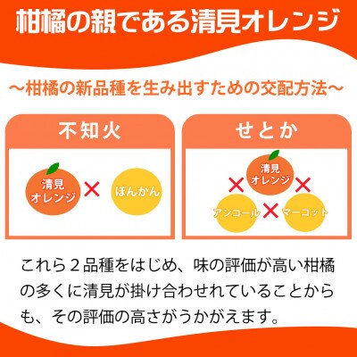 【ご家庭用訳あり】紀州有田産清見オレンジ　約7.5kg