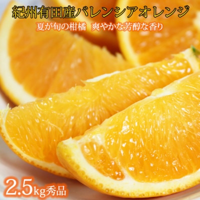 秀品　希少な国産バレンシアオレンジ　約2.5kg