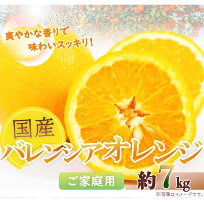 【ご家庭用訳あり】希少な国産バレンシアオレンジ　約7kg
