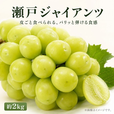 紀州かつらぎ山の瀬戸ジャイアンツ 約2kg