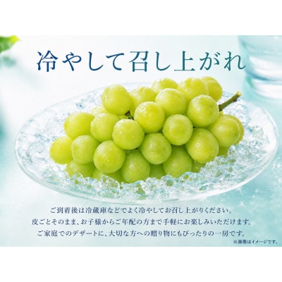 紀州かつらぎ山の瀬戸ジャイアンツ 約2kg