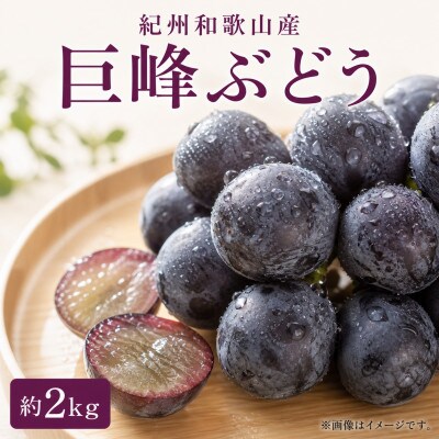 紀州和歌山産の巨峰ぶどう約2kg