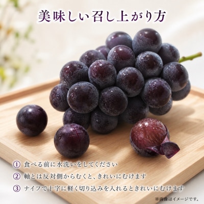 紀州和歌山産の巨峰ぶどう約2kg