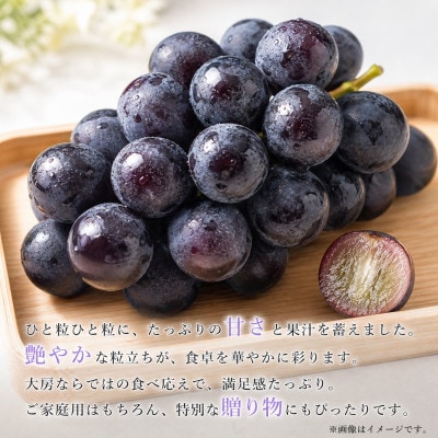 紀州和歌山産の巨峰ぶどう約2kg