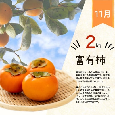 【発送月固定定期便】紀州和歌山産旬のフルーツセット(いちご・桃・富有柿)全3回