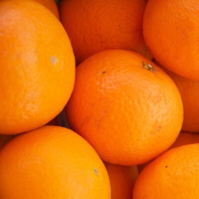 和歌山県産清見オレンジ約5kg(サイズ混合)【かつらぎ町】【3月中旬～4月中旬順次発送】