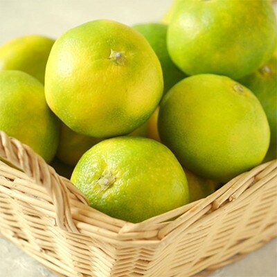 和歌山県産ゆら早生みかん約5kg(秀品)【かつらぎ町】【10月中旬～11月中旬順次発送】