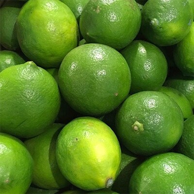 【産直】和歌山産グリーンレモン約3kg(サイズ混合)【かつらぎ町】【10月中旬～11月中旬順次発送】