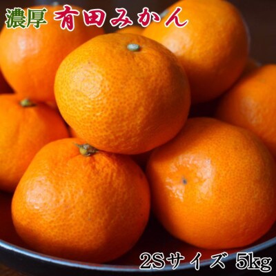 [秀品]和歌山有田みかん約5kg(2Sサイズ)【かつらぎ町】
