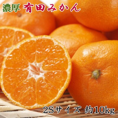 [秀品]和歌山有田みかん約10kg(2Sサイズ)【かつらぎ町】