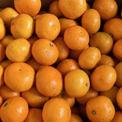 [秀品]和歌山有田みかん約10kg(2Sサイズ)【かつらぎ町】