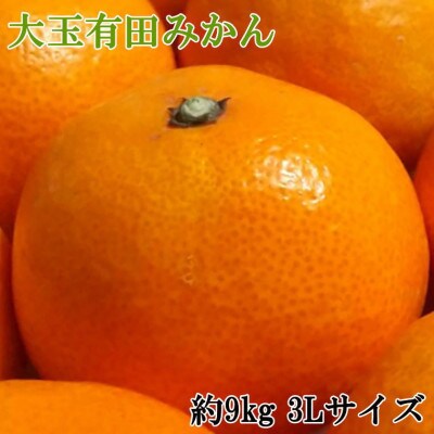 【食べごたえ十分】和歌山有田みかん大玉約9kg(3Lサイズ・秀品)【かつらぎ町】