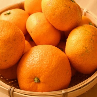 【訳ありご家庭用】和歌山有田みかん約5kg(サイズ混合)【かつらぎ町】