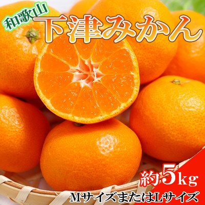 【産直】和歌山下津みかん約5kg(MサイズまたはLサイズのいずれかをお届け・秀品)(かつらぎ町)