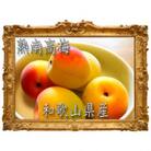 【梅干・梅酒用】紀州和歌山熟南高梅 大玉4Lサイズ 約10kg赤秀品【6月上旬～7月上旬発送予定】