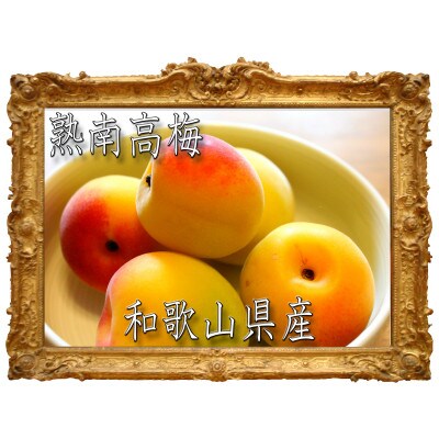 紀州和歌山熟南高梅 4Lサイズ 約10kg