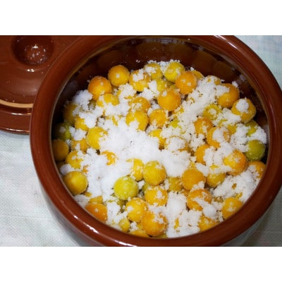 紀州和歌山熟南高梅 4Lサイズ 約10kg