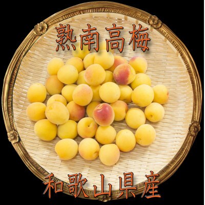 【梅干・梅酒用】(2LまたはL-約10kg)熟南高梅《2026年6月上旬～7月上旬発送予定》　
