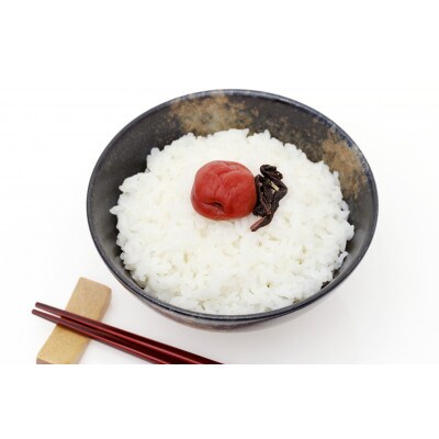 【梅干・梅酒用】(2LまたはL-約10kg)熟南高梅《2026年6月上旬～7月上旬発送予定》　