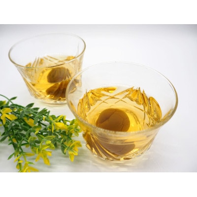【梅干・梅酒用】(LまたはM-約10kg)熟南高梅《2025年6月上旬～7月上旬発送予定》