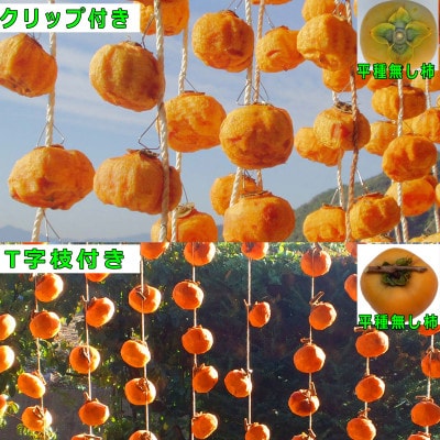 吊るし柿用 生渋柿 ひもセット 約20～30個、約4.5～5kg【10月下旬～11月中旬発送予定】
