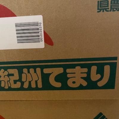 富有柿の新品種「紀州てまり」約7.5kg(22玉～32玉おまかせ)【かつらぎ町】